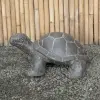 Product image 5 of the product “Turtle with a hole at the bottom, in size 62cm Length | Cast stone, handcrafted & coloured ”